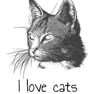 Women's pullover hoodie - I love cats