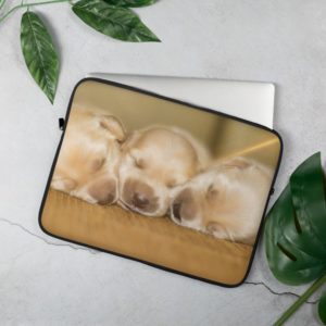 Newborn Pugs - Laptop Sleeve
