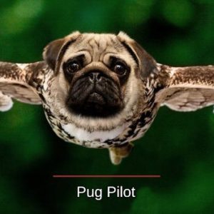 Pug Pilot - Matte Paper Framed Poster With Mat