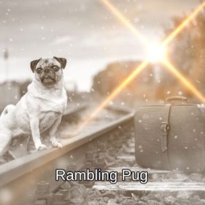 Rambling Pug | Unisex Hoodie