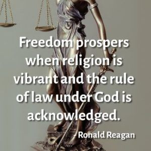 Rule Of Law - Reagan Quote - Unisex Hoodie