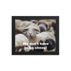 We Don't Have to be Sheep - Framed poster