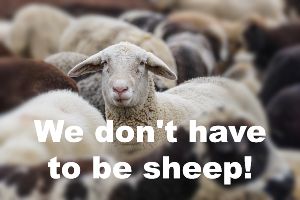 We Don't Have to be Sheep - Framed poster